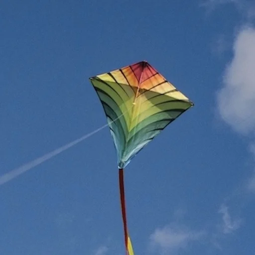 Kite Flying 2025 ডাউনলোড করুন – সেরা কাইট গেম ফ্রি ডাউনলোড