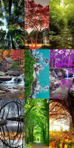 Nature Escape HD Wallpapers ডাউনলোড করুন – সেরা প্রাকৃতিক দৃশ্য - Screenshot 5