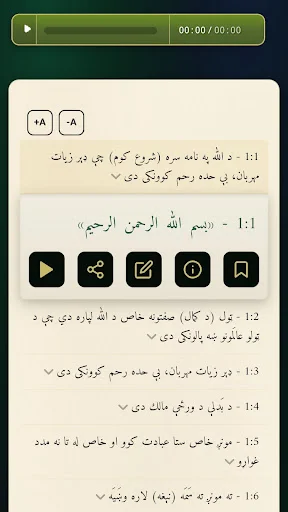 Quran Pashto ডাউনলোড করুন – পশতু অনুবাদসহ পবিত্র কুরআন ও দোয়া - Screenshot 4