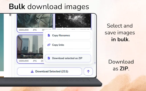 Image Downloader Pro ডাউনলোড করুন – বাল্ক ইমেজ সেভার - Screenshot 3