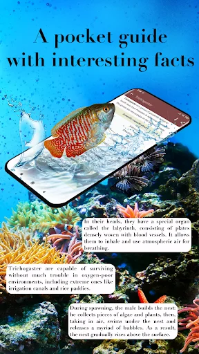 Aquarium Fish অ্যাপ ডাউনলোড করুন – মাছের যত্ন ও প্রজনন নির্দেশিকা - Screenshot 6