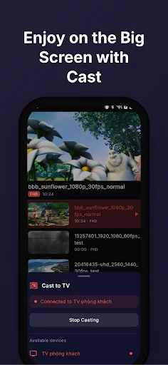VidMax – প্রাইভেট ভিডিও প্লেয়ার ডাউনলোড করুন – সব ফরম্যাট সাপোর্ট - Screenshot 7