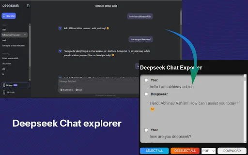 Deepseek Chat Exporter ডাউনলোড করুন – PDF, JSON হিসেবে সেভ করুন - Screenshot 1