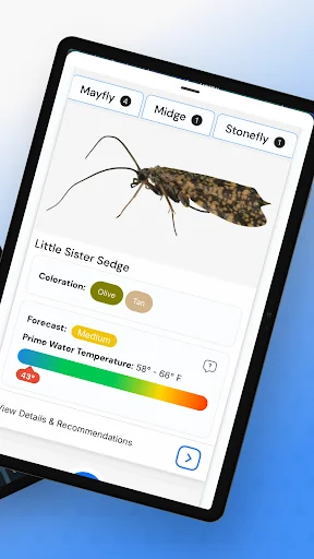 IdentaFly ডাউনলোড করুন – ফ্লাই ফিশিং এবং মাছ ধরার কৌশল - Screenshot 9