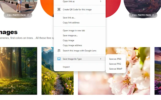 Save Image As Type ডাউনলোড করুন – ইমেজ কনভার্টার এক্সটেনশন - Screenshot 1