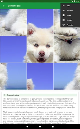 Dogs Puzzle ডাউনলোড করুন – সেরা ডগ পাজল গেম ফ্রি ডাউনলোড - Screenshot 15