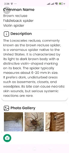 Spider Identifier ডাউনলোড করুন – মাকড়সার নাম শনাক্ত করুন - Screenshot 13