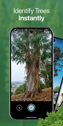 TreeBarkID ডাউনলোড করুন – এআই দিয়ে গাছের বাকল ও কাঠ শনাক্ত করুন - Screenshot 1