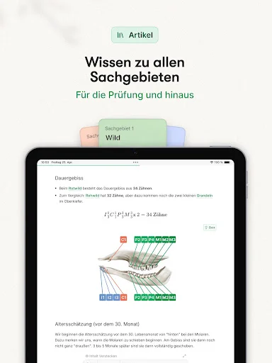 Waidwissen – Jagdschein App ডাউনলোড করুন – ৯৫.৩% সাফল্যের নিশ্চয়তা - Screenshot 10