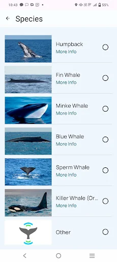 Whale Alert অ্যাপ ডাউনলোড করুন – তিমির অবস্থান ও সুরক্ষা - Screenshot 6