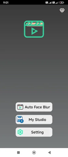 Blur Faces in Video ডাউনলোড করুন – ভিডিওর মুখ ঝাপসা করার সেরা টুল - Screenshot 1