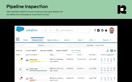 Revenue Grid ডাউনলোড করুন – Salesforce ও Gmail ইন্টিগ্রেশন - Screenshot 2
