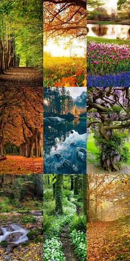 Nature Escape HD Wallpapers ডাউনলোড করুন – সেরা প্রাকৃতিক দৃশ্য - Screenshot 8