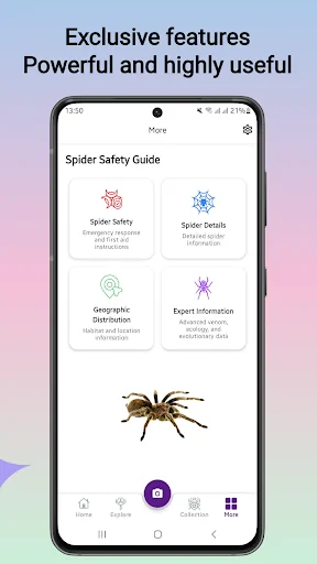 Spider Identifier ডাউনলোড করুন – মাকড়সার নাম শনাক্ত করুন - Screenshot 3