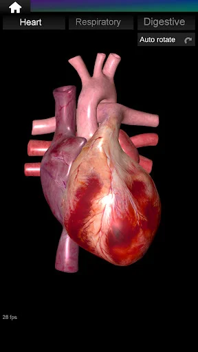 Internal Organs in 3D Anatomy ডাউনলোড করুন – সেরা অ্যানাটমি অ্যাপ - Screenshot 16