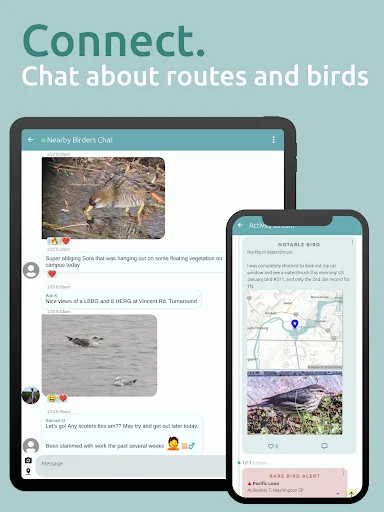 BirdingApp ডাউনলোড করুন – দুর্লভ পাখির আপডেট ও বার্ডারদের সাথে সংযোগ - Screenshot 22