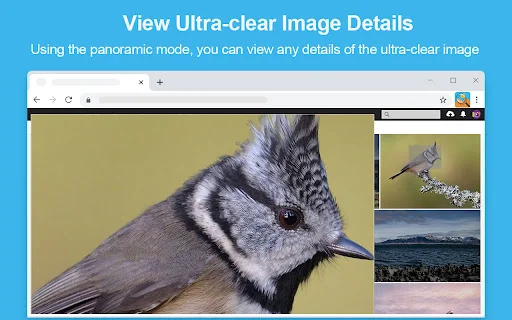 Photo Zoom ডাউনলোড করুন – ব্রাউজারে এইচডি ইমেজ জুম করুন - Screenshot 2