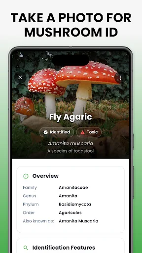 Mushroom Identifier – Mushby ডাউনলোড করুন – সেরা মাশরুম শনাক্তকারী - Screenshot 3