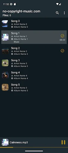 MusicSync ডাউনলোড করুন – Google Drive থেকে অফলাইন মিউজিক প্লেয়ার - Screenshot 3