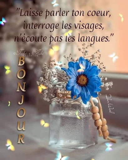 Bonjour Wallpaper ডাউনলোড করুন – প্রতিদিন নতুন এইচডি ওয়ালপেপার - Screenshot 1