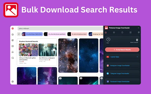 Pinterest Images Downloader ডাউনলোড করুন – এক ক্লিকে ছবি ও ভিডিও সেভ করুন - Screenshot 2