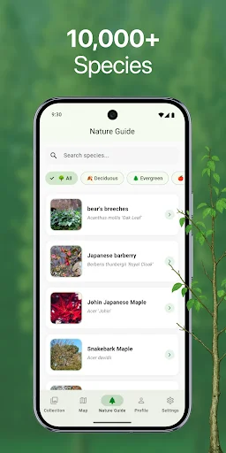TreeBarkID ডাউনলোড করুন – এআই দিয়ে গাছের বাকল ও কাঠ শনাক্ত করুন - Screenshot 5