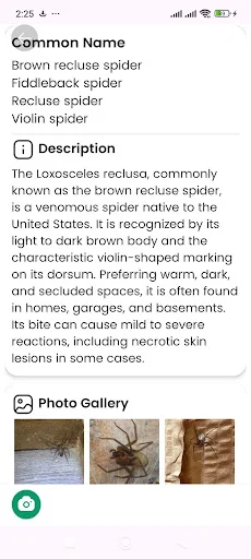 Spider Identifier ডাউনলোড করুন – মাকড়সার নাম শনাক্ত করুন - Screenshot 14